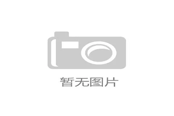 世界杯伊拉克VS塞内加尔比赛战术布置与球队战术执行效果全面解析